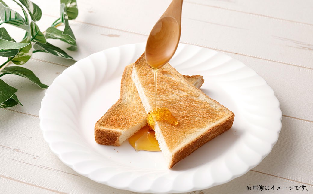 舘養蜂場本店 九華はちみつ アカシア 1kg