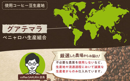 グアテマラコーヒー(豆)　ロハ　200g×2 / 珈琲 コーヒー グアテマラ / 瀬戸市 / Ｃｏｆｆｅｅ　ＳＡＫＵＲＡ[BBAB132]