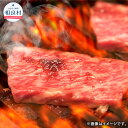 【ふるさと納税】【定期便6回】肥後のあか牛 焼肉用 500g 6回 合計3kg 焼き肉 BBQ 九州産 熊本県産 国産 牛肉 お肉 グルメ お取り寄せ 冷凍 送料無料