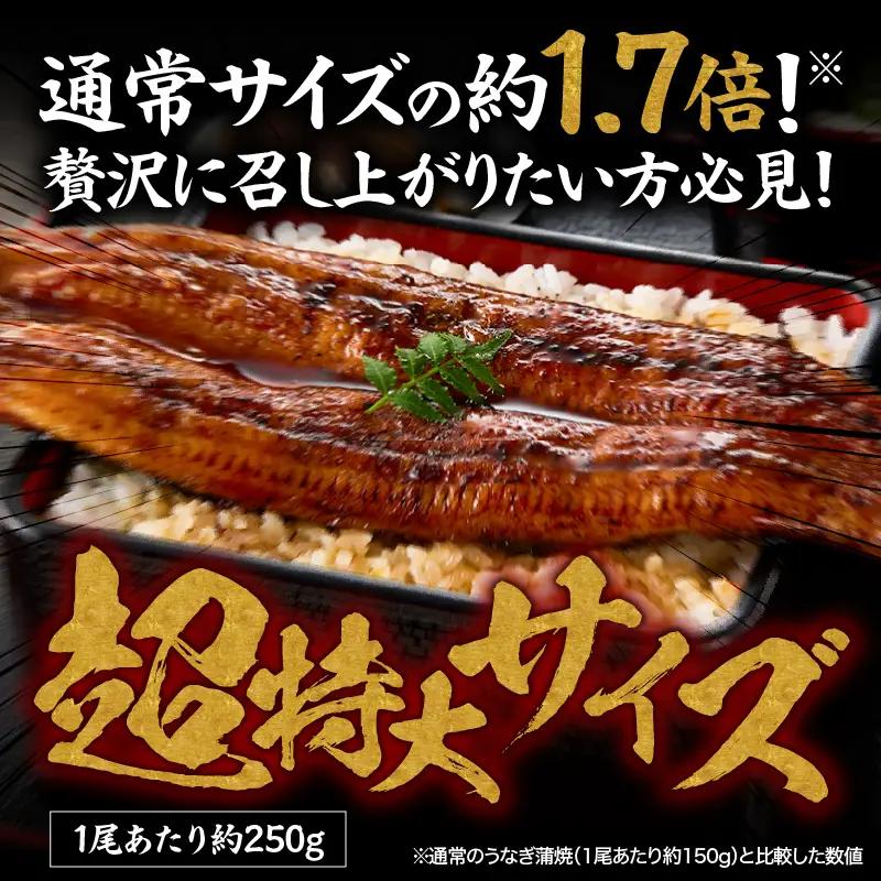  1746-1 うなぎ問屋 の 備長炭手焼 うなぎ蒲焼 超特大 4尾 （1000g） KN029-001-07 魚 鰻