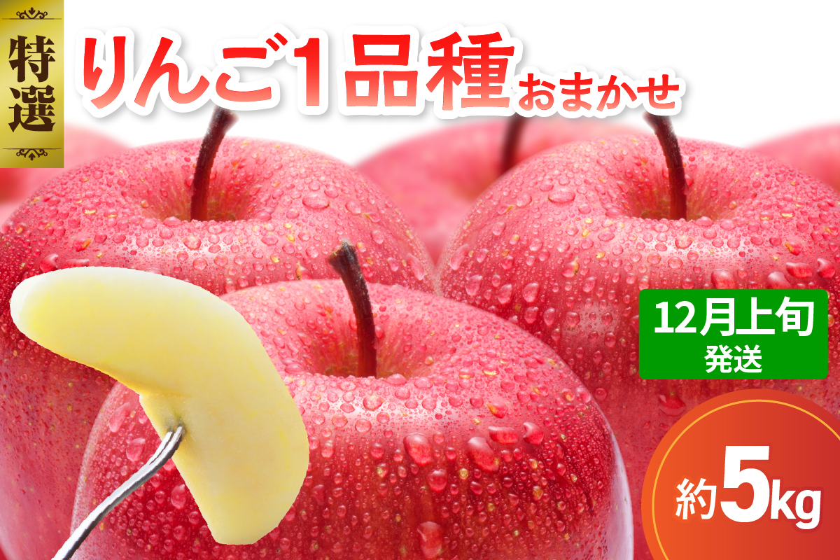 【2025年12月上旬発送】 【特選】 旬の美味しい りんご 約5kg 青森産 【おまかせ1品種】
