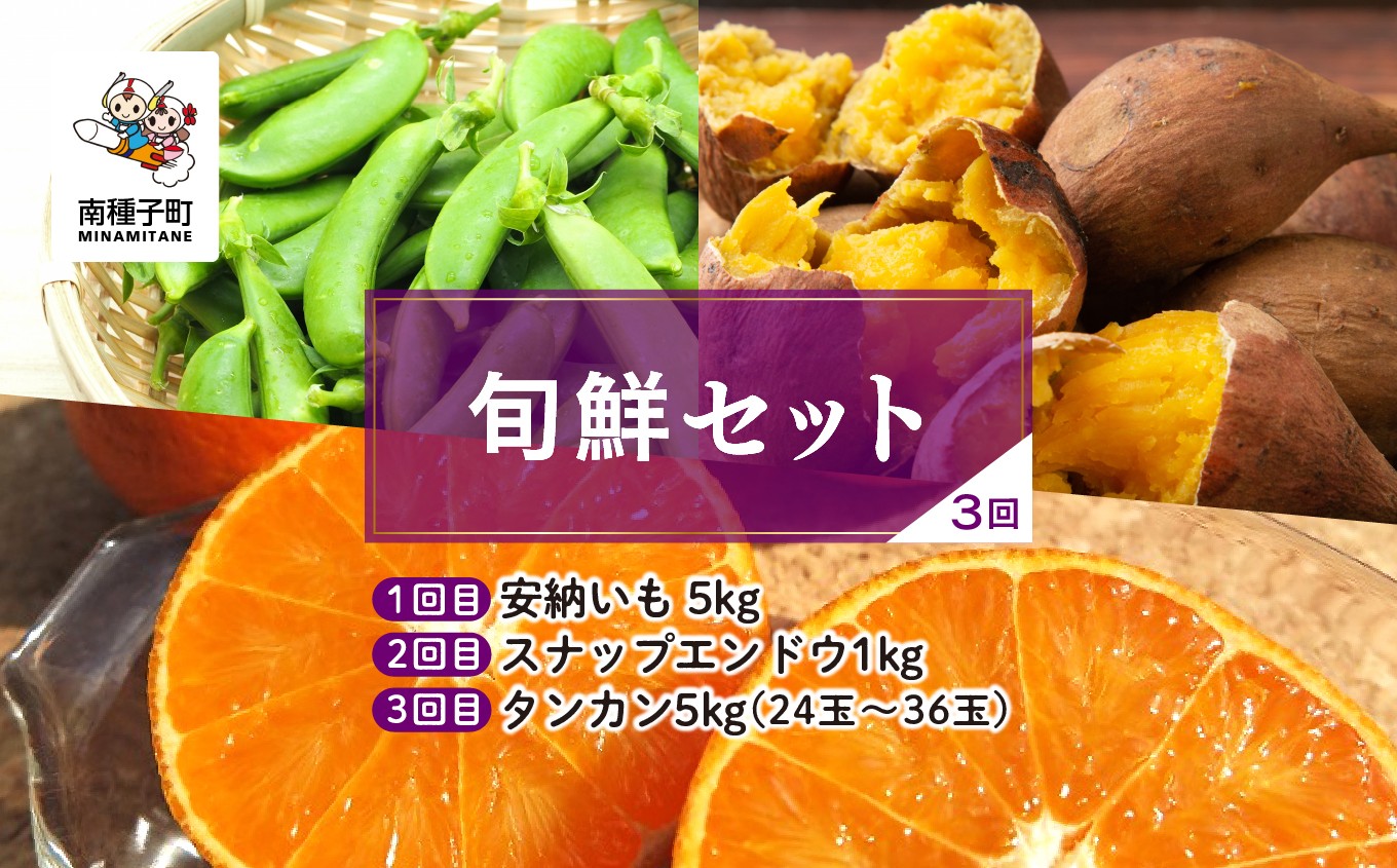 
            【先行予約】【定期便】 種子島 旬鮮セット 全3回 安納いも スナップエンドウ タンカン 人気 種子島産 返礼品 南種子町 鹿児島 かごしま 【のっちーよ種子島】
          