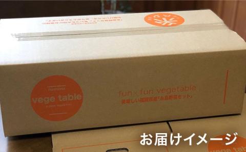 【全6回定期便】旬を味わう 『糸島野菜セット』 10～14種（計14パック） 年6回お届けコース イタリア野菜 オーガニック 野菜ソムリエ松永【vegeLabo】[AJB002]