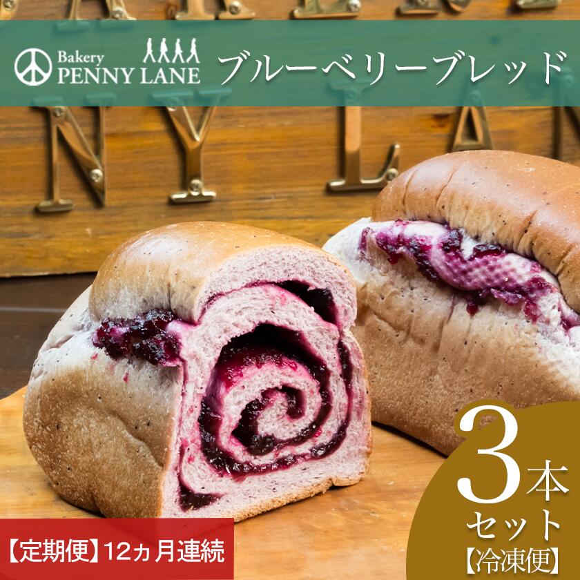 【ふるさと納税】【12ヵ月定期便】ペニーレインのブルーベリーブレッド3本セット | 茨城県 つくば市 パン パン屋 茨城県 つくば市 ブルーベリー 冷凍パン お取り寄せ 人気 おすすめ ベーカリー グルメ プレゼント レストラン ドッグラン 冷凍 冷凍便