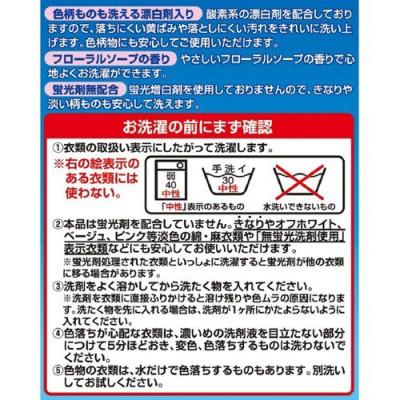 ふるさと納税 龍ケ崎市 緑の魔女ランドリーパウダー1kg×2個セット(デパート専用品)【沖縄・離島配送可能】 |  | 03