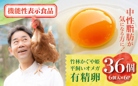 竹林かぐや姫平飼いオメガ有精卵 36個入 卵[AYBG001]