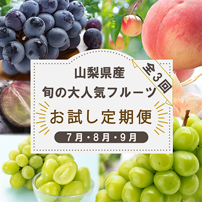 
            ＜発送月固定定期便＞山梨県産旬の大人気フルーツ＜桃・巨峰・シャインマスカット＞お試し定期便 全3回_ もも ぶどう フルーツ 果物 セット ギフト 産地直送 送料無料 定期便 ＜2025年先行予約＞【4013021】
          