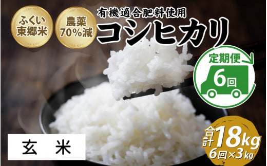 【定期便6ヶ月連続】令和6年産 ふくい東郷米特別栽培米　農薬70％減コシヒカリ 3kg×6ヶ月 合計18kg【玄米】[E-020022_02] 