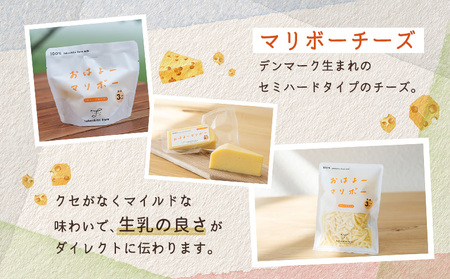竹下牧場 takeshita farm【6ヶ月配送】マリボーチーズセット 計510g【2401601】
