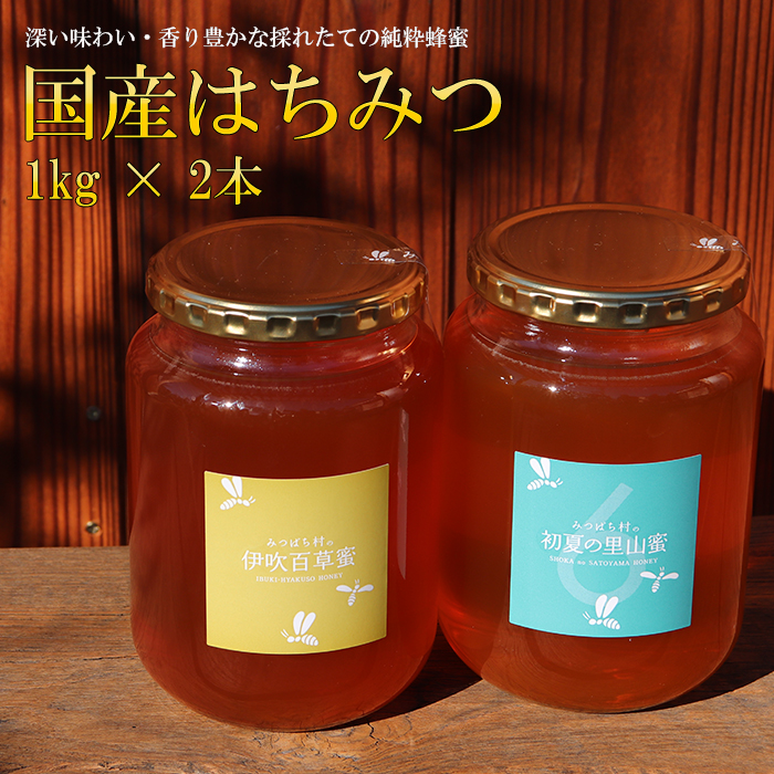 E-29a 国産はちみつ1kg 2本セット
