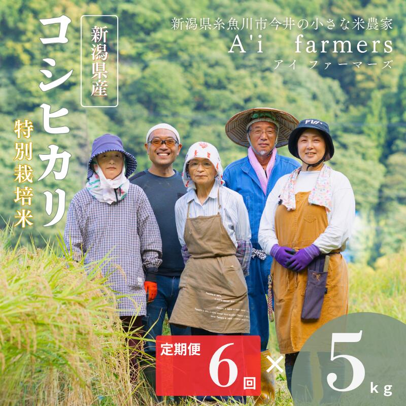 【ふるさと納税】 令和7年産 コシヒカリ(BL) 【6ヶ月定期便】 白米 5kg×6回 毎月お届け 計30kg 新潟県 糸魚川市産 減農薬 減化学肥料米 安心 安全 美味しいお米 新潟米 今井産 アイファーマーズ 今摺り米 精米 こしひかり おにぎり お弁当 おすすめ お米 コメ 2025
