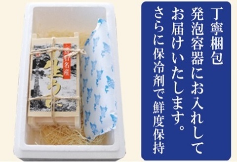 ムラサキウニ70～80g×2折[7月上旬以降発送] A-71004