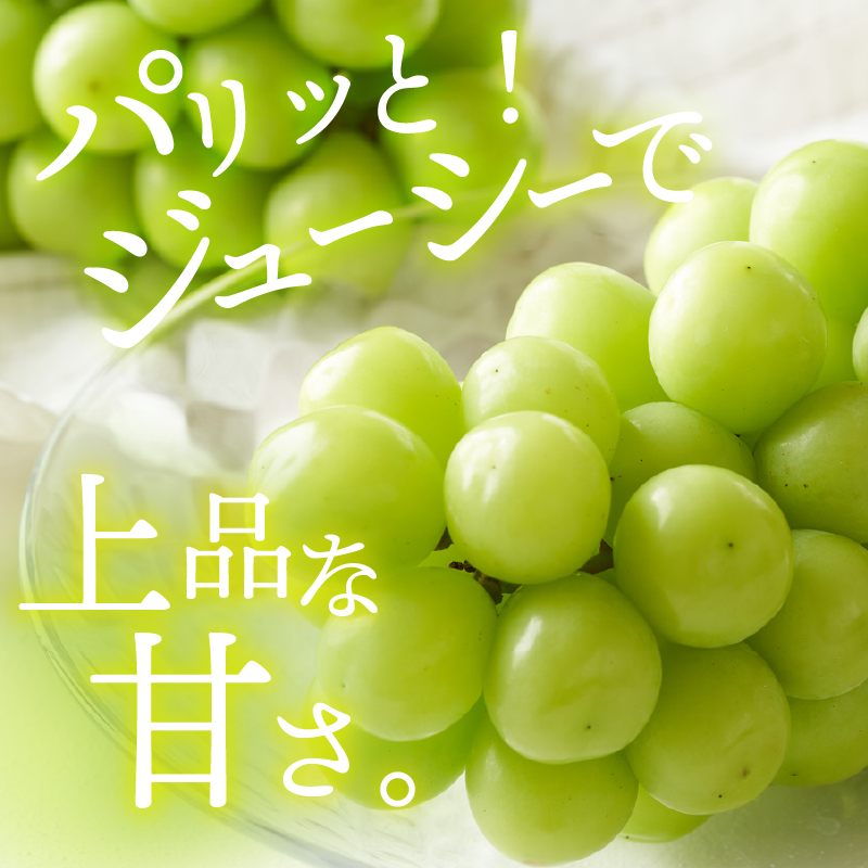 【総合1位獲得!!】〈2026年度配送分〉山梨県産 シャインマスカット 2～3房（1.0kg以上）