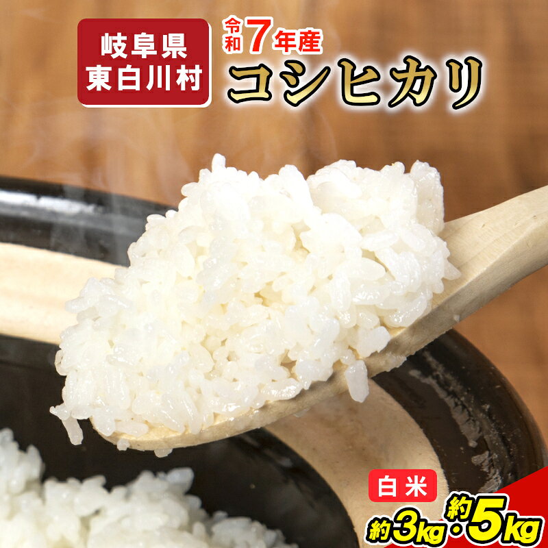 【ふるさと納税】令和7年産 コシヒカリ 米 3kg 5kg 白米 選べる 内容量 精米 お米 こめ 精米 ご飯 米 おにぎり ブランド米 国産 ごはん 東白川村産 岐阜県