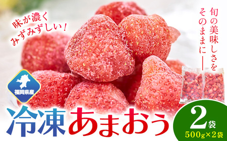 【2026年度出荷】福岡県産 冷凍あまおう1kg(500g×2袋) 南国フルーツ株式会社《12月中旬-3月末頃出荷(土日祝除く)》福岡県 小竹町 あまおう いちご イチゴ 送料無料【配送不可地域あり】