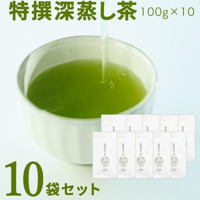 ふるさと納税 新富町 宮崎日本茶専門店　特撰深蒸し茶100g 10本セット