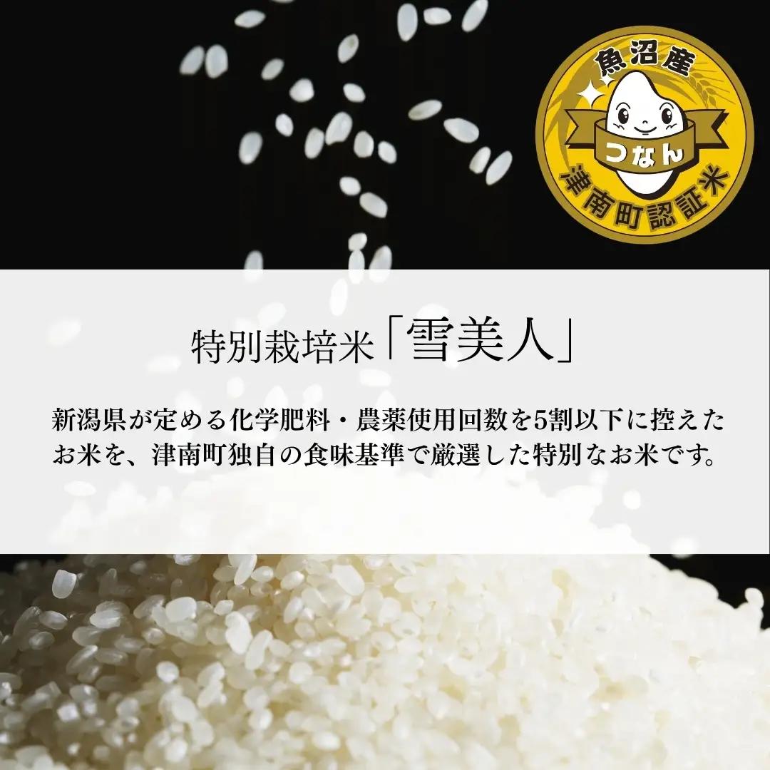 魚沼産コシヒカリ 特別栽培 雪美人  5kg  | 津南町 魚沼 令和7年