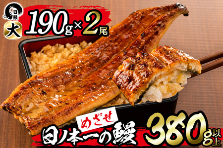 日ノ本一の鰻の蒲焼き＜大＞2尾(計380g以上) うなぎ 鰻 ウナギ 国産 鹿児島県産 九州産 蒲焼き 冷凍 うな重 ひつまぶし b1-018