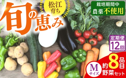 【先行予約】【2027年1月以降発送開始】【全12回定期便】旬の野菜セットMサイズ 島根県松江市/須山農園 [ALBD010]