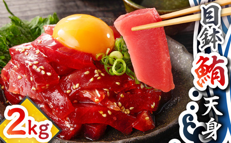 目鉢鮪 天身 2kg M081-011 冷凍 マグロ