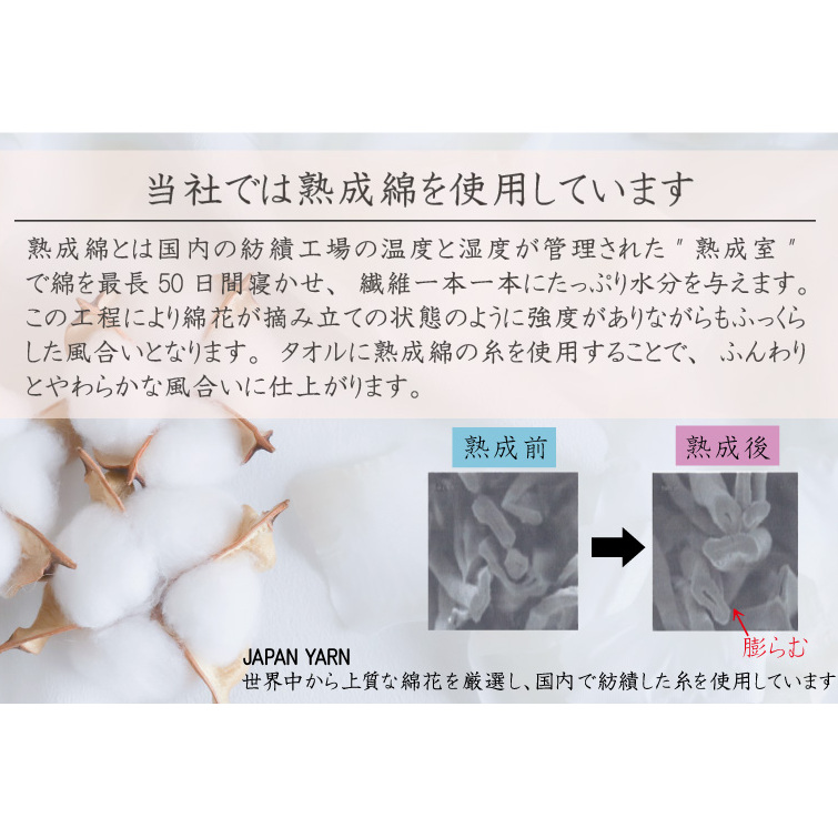 【スピード発送】泉州タオル「美肌小町（ロングパイル）フェイスタオル」5枚セット【泉州タオル 国産 吸水 普段使い 無地 シンプル 日用品 家族 ファミリー】 010B986_イメージ3