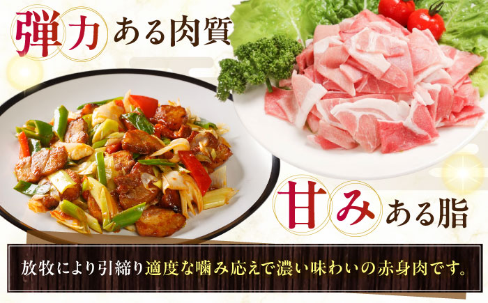 放牧豚 切落し 計1.5kg（250g×6）《厚真町》　【ファーマーズファクトリー株式会社】 [AXBA119]