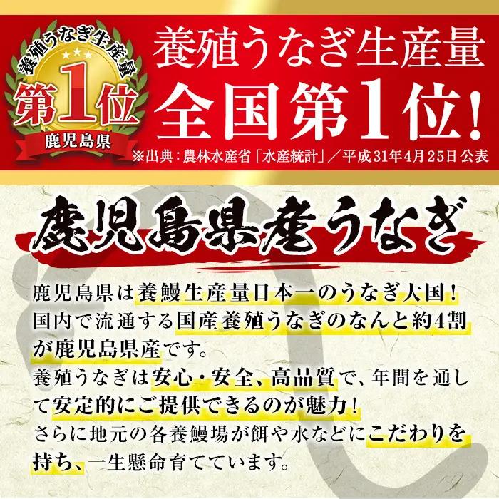 【6回定期便(隔月)】鹿児島県産 うなぎ蒲焼 特大 サイズ 5尾セット ＜（約220g×5・計約1100g）×全6回＞  【薩摩川内鰻】 i1177-B
