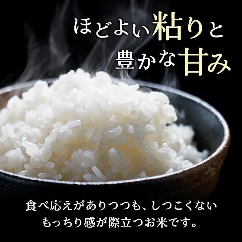 ホクレンゆめぴりか 定期便 5kg 12ヶ月 白米 ANA機内食採用 ゆめぴりか
