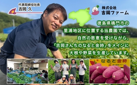 【予約受付中・2026年10月頃より順次発送】「吉岡さんちのなると金時」 Lサイズ 2kg
