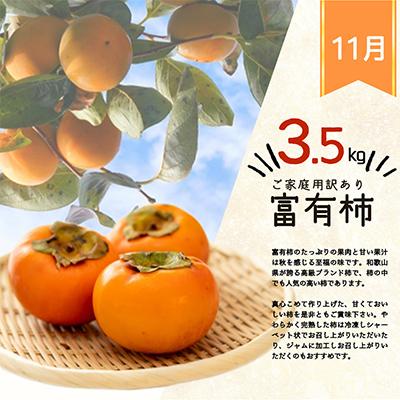 ふるさと納税 日高川町 【発送月固定定期便】紀州和歌山産旬のご家庭用果物セット(ひらたね・富有柿・みかん)全3回 |  | 02