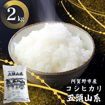ふるさと納税 阿賀野市 【令和7年産】「米屋のこだわり阿賀野市産」コシヒカリ2kg