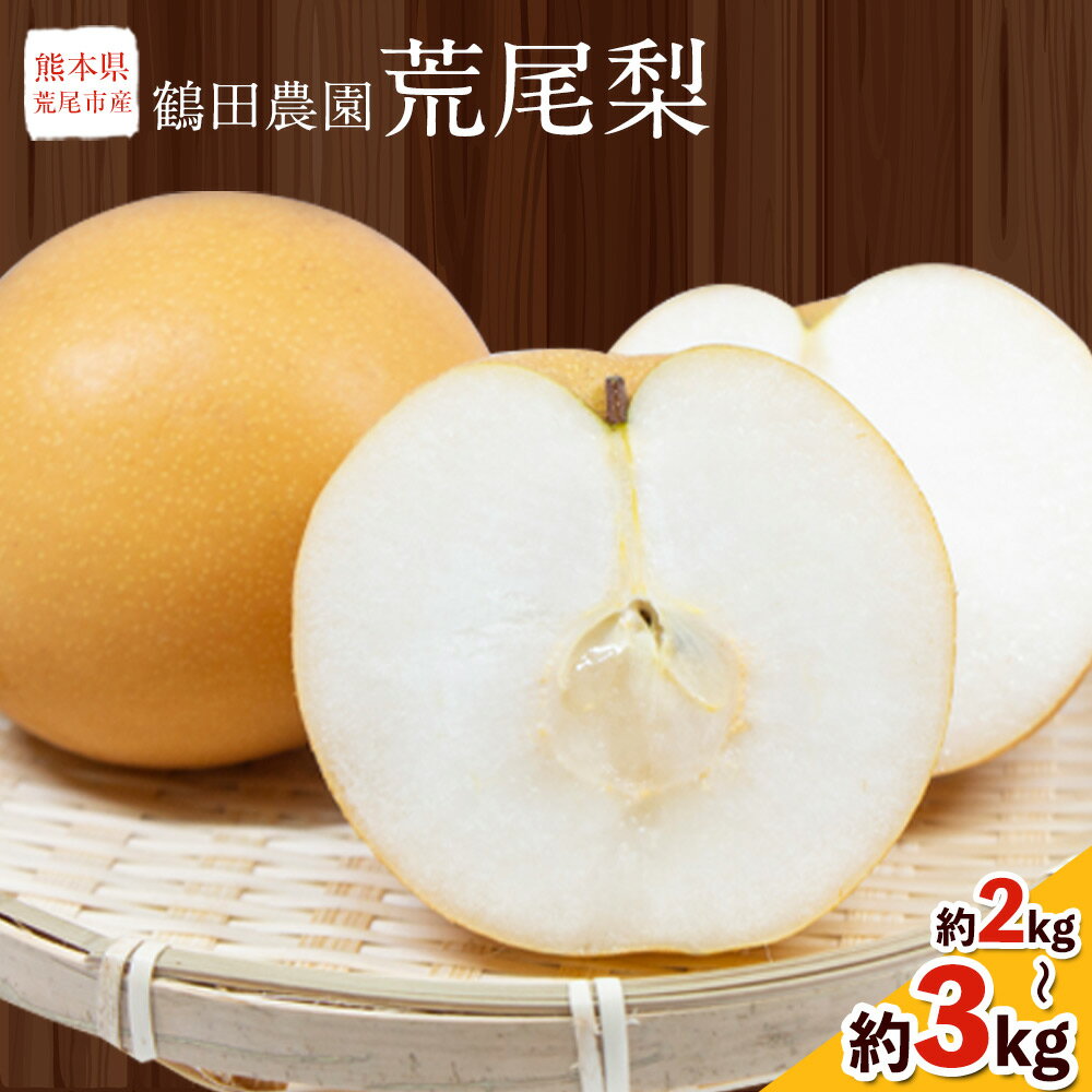 【ふるさと納税】 先行予約 梨 季節の梨 旬の品種 豊水 あきづき 甘太 のいずれか 約 2kg 5〜6玉 3kg 6〜9玉 和梨 なし フルーツ 果物 秋 旬 熊本県 荒尾市産 鶴田農園《8月下旬-9月下旬頃出荷》