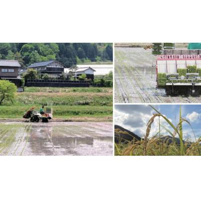 ふるさと納税 与謝野町 【先行受付】令和8年新米　数量限定　京都与謝野町産コシヒカリ「京の豆っこ米」玄米10kg×1袋 |  | 02
