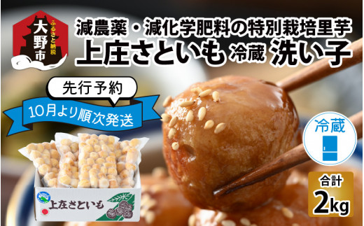 【先行予約】上庄さといも 洗い子 2kg（500g × 4袋）【冷蔵】減農薬・減化学肥料の特別栽培里芋 農家直送 煮物に便利な小さめサイズ【2024年10月中旬より順次発送】