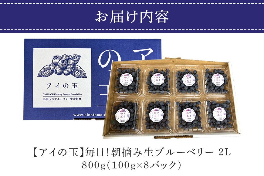 《数量限定・期間限定》 【アイの玉】毎日！朝摘み生ブルーベリー(2L) 73-A 【2025年6月15日より順次発送予定・7月31日に受付終了】