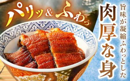 鰻【備長炭】 国産 うなぎの蒲焼 7尾セット 鰻 白川町 / 多幸八[AWBL004]