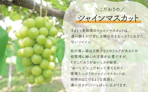 【2026年先行予約】シャインマスカット 上級品 大3-5房/計2.4kg~ (岡山県産)【KF-B072-02】