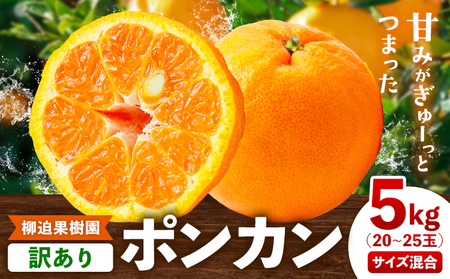 訳あり ポンカン 5kg 20-25玉 サイズ混合《2月中旬-3月中旬頃出荷》熊本県 葦北郡 津奈木町 ポンカン みかん 柑橘 送料無料