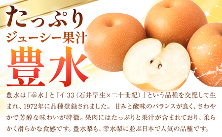 梨 豊水秀品 5kg 井岡農園 豊水梨 なし