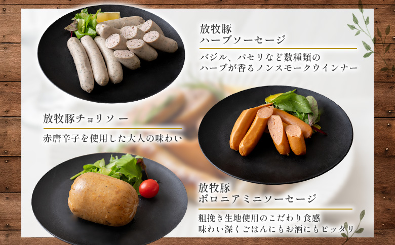 【熨斗付き】北海道産放牧豚 無添加ウインナーセット（化粧箱入り） | 熨斗 北海道産 放牧豚 無添加 ウインナー ソーセージ セット 詰め合わせ 化粧箱 ギフト 贈り物 豚肉 ポーク おつまみ 安心 