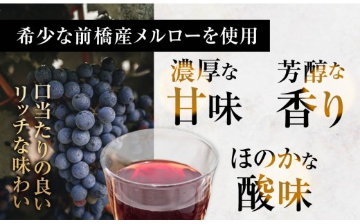 ぶどうジュース 豊赤 (ホウセキ) ストレート 2本セット 数量限定 | ジュース ブドウジュース ぶどう フルーツ 葡萄 メルロー 芳醇 濃厚 贅沢 ごほうび 贈答用 ギフト プレゼント 希少 道の