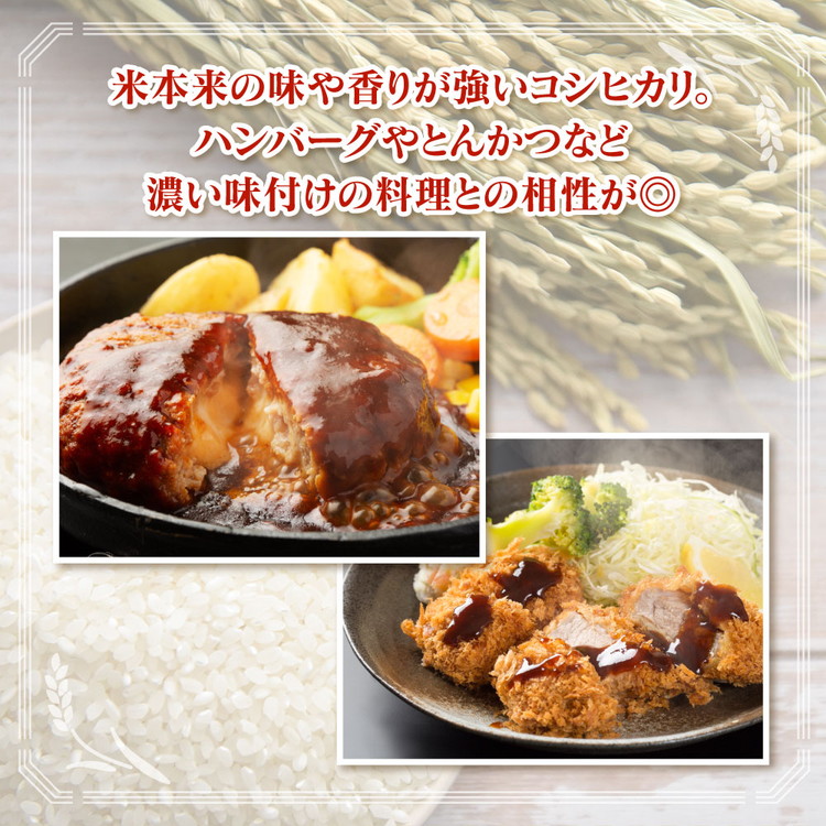 【令和7年度米】【6ヶ月定期便】 富山県 うおづ産米「コシヒカリ」15kg（5kg×3袋）（精米）｜6回 こしひかり 白米 精米 雪解け水 あまみ 冷めても 美味しい ※北海道・沖縄・離島への配送不可