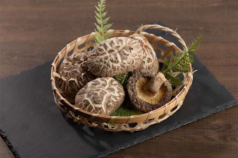 大分県品評会入賞品 極どんこ150g (50g×3袋) | しいたけ 椎茸 どんこ 干ししいたけ 九州 原木栽培  国産 大分県 九州 送料無料