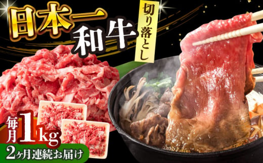 【全2回定期便】【A4～A5】長崎和牛切り落とし　1kg(500g×2p）【株式会社 MEAT PLUS】 [DBS053]