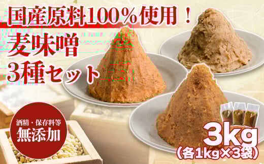 麦みそ 3種セット 計3kg | 甘口 中辛 合わせ 減塩 低塩 麦みそ 国産 大麦 大豆 味噌 みそ 粒みそ 調味料 麹 こうじ 味噌汁 みそ汁 愛媛県 松前町 えひめけん まさきちょう ギノーみそ