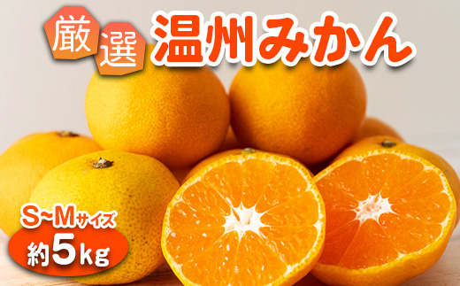 みかん 温州みかん 厳選 5kg S-M サイズ 小玉みかん｜GOGO農園 和歌山県 日高川町 みかん 柑橘類 うんしゅうみかん みかん 柑橘 蜜柑 フルーツ 送料無料