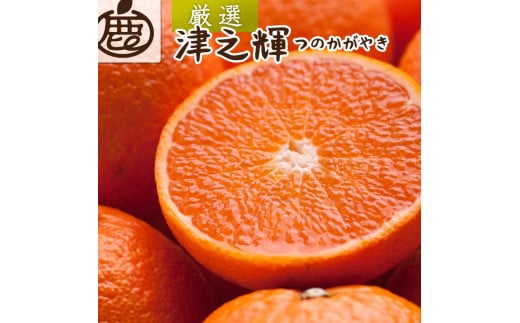 
            ［先行予約］厳選 津之輝1kg+250g（傷み補償分）［つのかがやき］［せとかに似た柑橘］［光センサー選果］［IKE55］
          