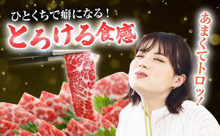 【6回定期便】【数量限定】厳選霜降り馬刺し（大トロ）200g【山鹿食品企画】 [ZBO059]