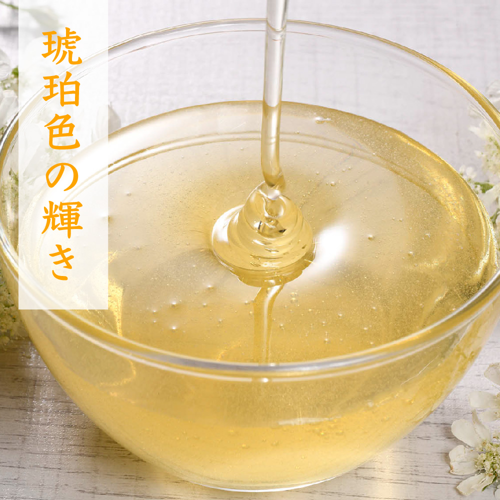 【数量限定】2025年産 国産天然蜂蜜（春の蜜）500g & 470g【合計970g】(H049114)