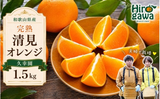 
                  完熟 清見 オレンジ 1.5kg 久幸園【hsk011-r-1d5】
                